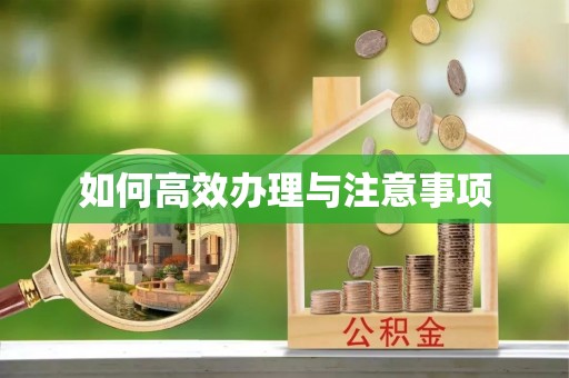 原平如何高效办理与注意事项