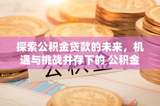 原平探索公积金贷款的未来，机遇与挑战并存下的 公积金贷款风险防控