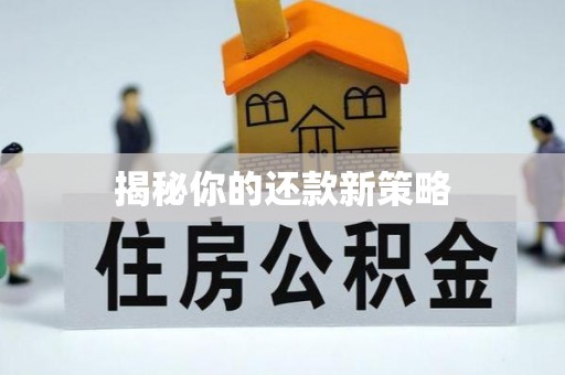 原平揭秘你的还款新策略