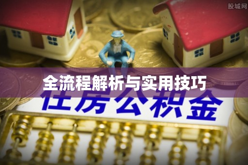 原平全流程解析与实用技巧