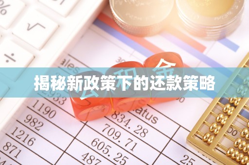 原平揭秘新政策下的还款策略