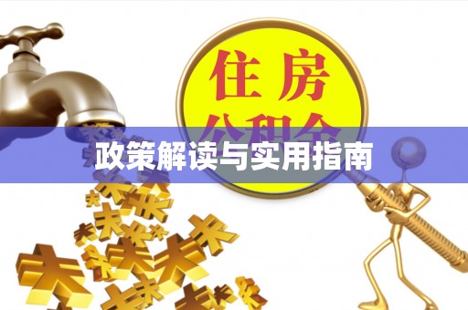 原平政策解读与实用指南