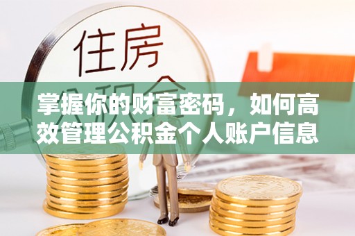 原平掌握你的财富密码，如何高效管理公积金个人账户信息