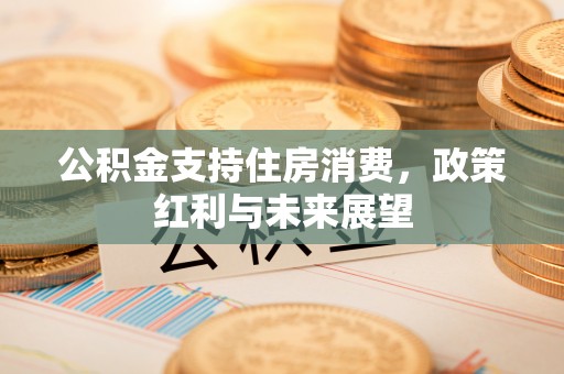 原平公积金支持住房消费，政策红利与未来展望