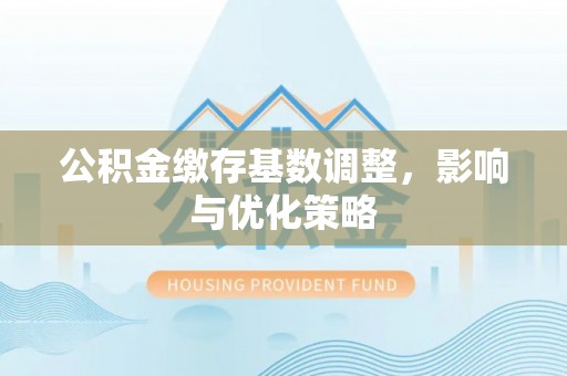 原平公积金缴存基数调整，影响与优化策略