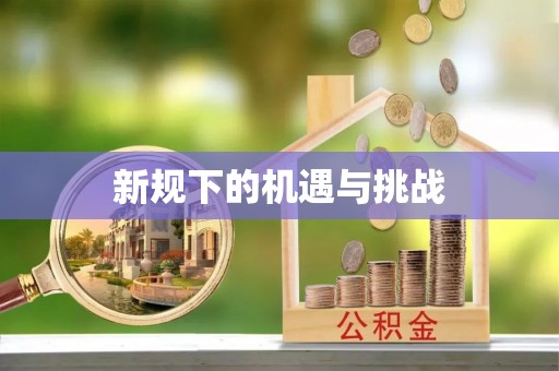 原平新规下的机遇与挑战