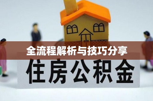 原平全流程解析与技巧分享